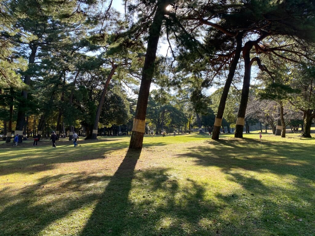 🌳 벳푸 공원(벳푸 코엔) 이미지 5